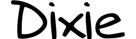 Dixie abbigliamento bambino outlet