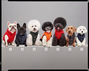 moncler piumino per cani collezione poldo dog couture