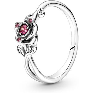 Pandora Belle 190017C01