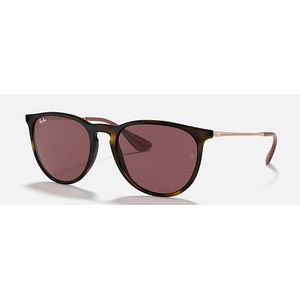 Ray-Ban Erika RB4171