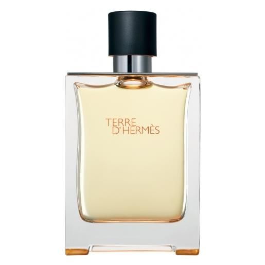 Hermes terre d'hermes eau de toilette spray 100 ml uomo