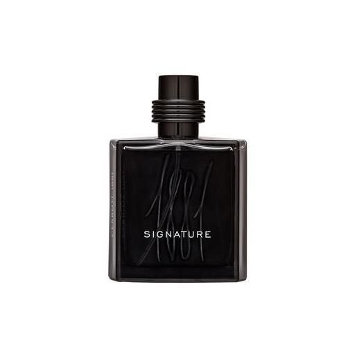 Cerruti 1881 signature eau de parfum da uomo 100 ml