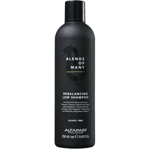 Alfaparf blends of many rebalancing low shampoo 250ml - shampoo uomo riequilibrante cute grassa e forfora