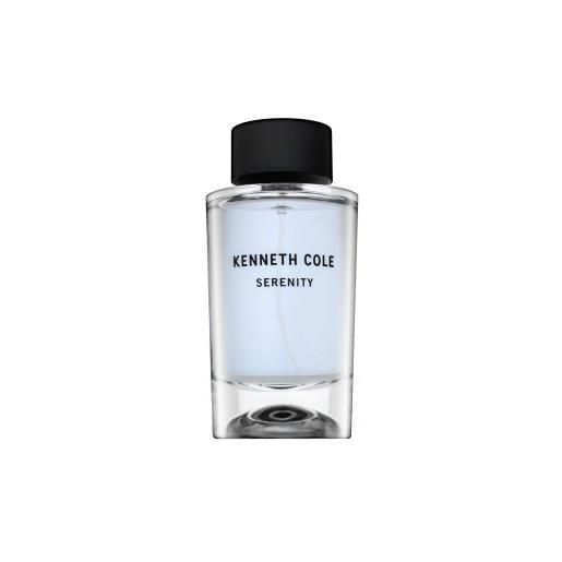 Kenneth Cole serenity eau de toilette da uomo 100 ml
