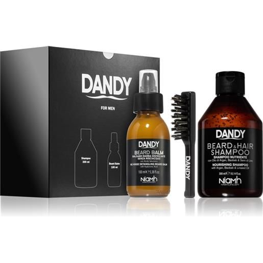 DANDY beard gift box
