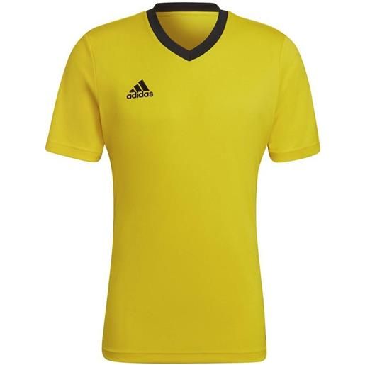 ADIDAS entrada 22 maglia uomo giallo [2512118]