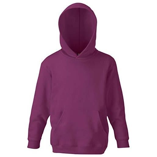 Fruit of the Loom childrens unisex hooded sweatshirt/hoodie (14-15) (red)