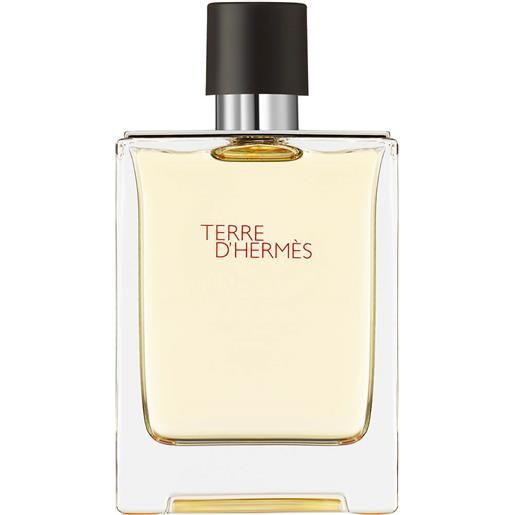 Hermès terre d'Hermès eau de toilette 100ml