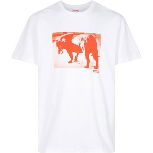 Supreme t-shirt daido moriyama dog - marrone