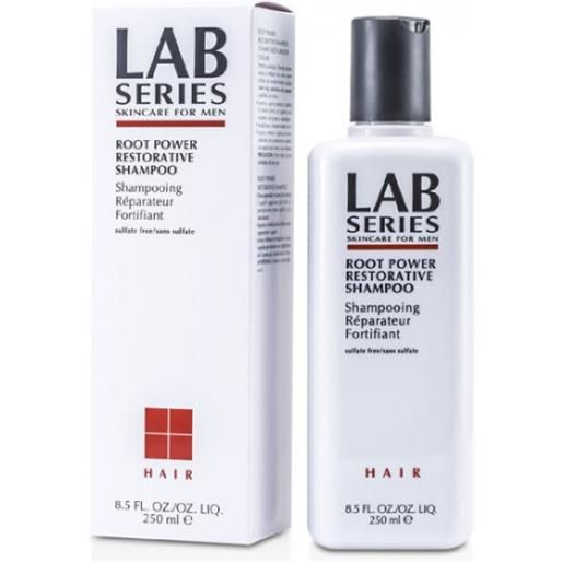 LAB.SERIES root power treatment shampoo lab series 250ml