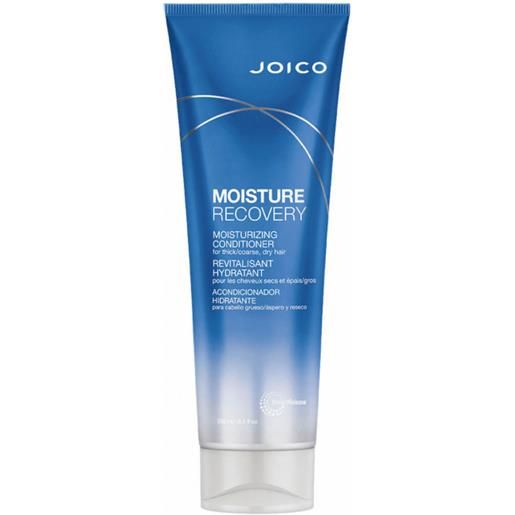 Joico moisture recovery moisturizing conditioner 250 ml