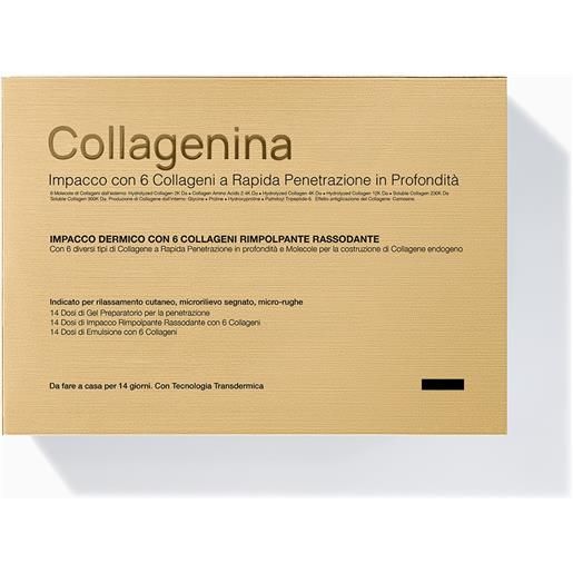 LABO INTERNATIONAL SRL labo collagenina trattamento viso con 6 cmolecole di collagene - azione rimpolpante rassodante - grado 1