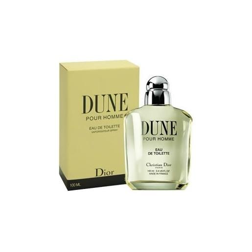 Dior dune Dior pour homme 100 ml, eau de toilette spray
