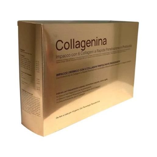 Labo collagenina impacco con 6 collageni a rapida penetrazione in profondità grado 2