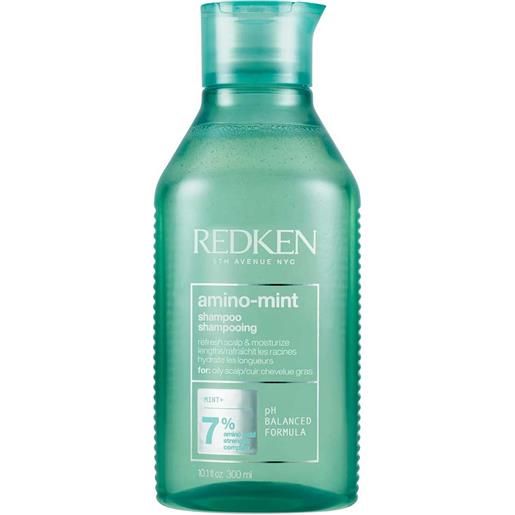 Redken amino mint shampoo 300ml