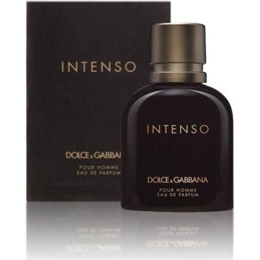 Dolce e Gabbana intenso pour homme edp 125 ml