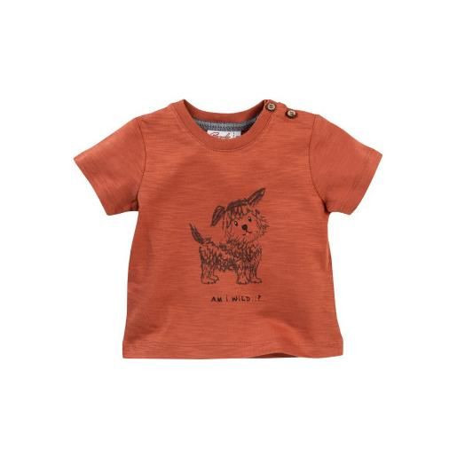 People Wear Organic t-shirt baby in cotone bio siena - col. Terracotta