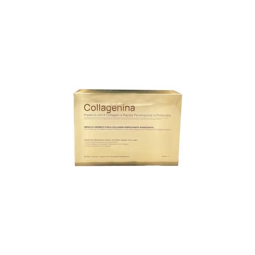 Labo international - collagenina impacco 6 collageni cofanetto