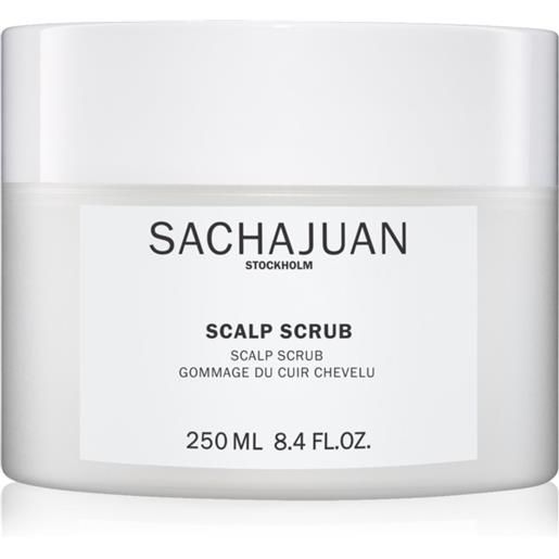 Sachajuan scalp scrub scalp scrub 250 ml