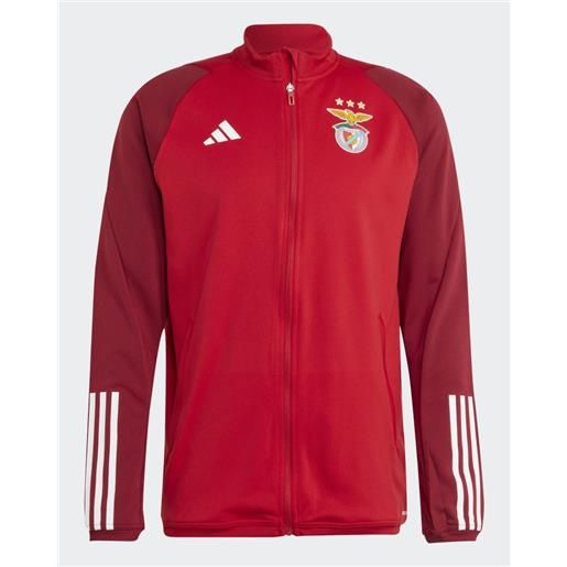 Benfica adidas giacca tuta allenamento uomo rosso 2023 24 training iq9965