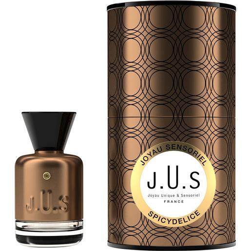 J.U.S Parfums spicydelice parfum 100 ml
