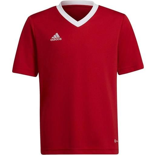 ADIDAS entrada 22 maglia bambino rosso [250585]