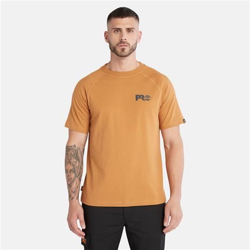 Timberland t-shirt con logo riflettente Timberland pro core da uomo in giallo scuro giallo