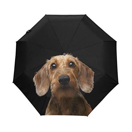 My Daily - ombrello da viaggio per cani con bassotto automatico, leggero, compatto, antivento