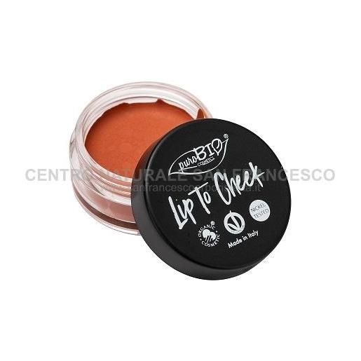 PUROBIO lip to cheek 01 carrot