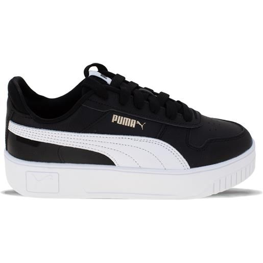 Puma carina street