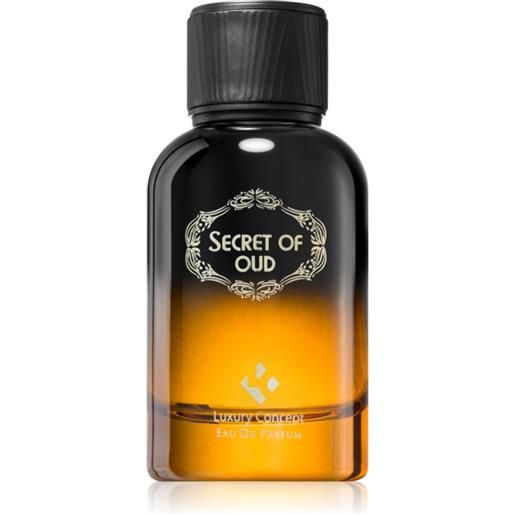 Luxury Concept secret of oud 100 ml