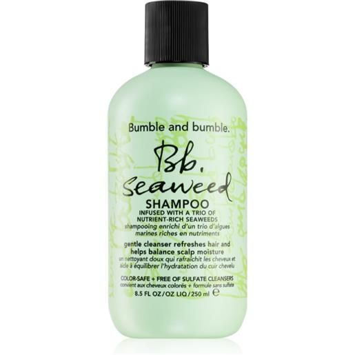 Bumble and Bumble seaweed shampoo 250 ml