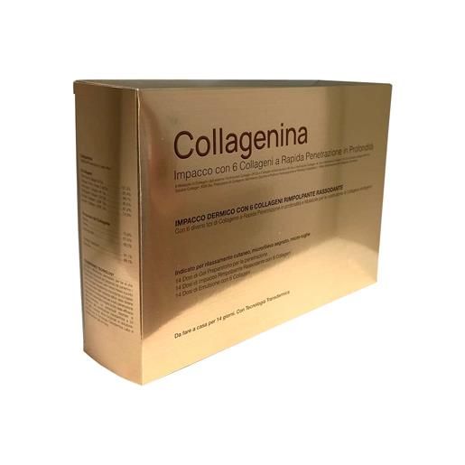 LABO INTERNATIONAL Srl collagenina impacco dermico con 6 collageni grado 1