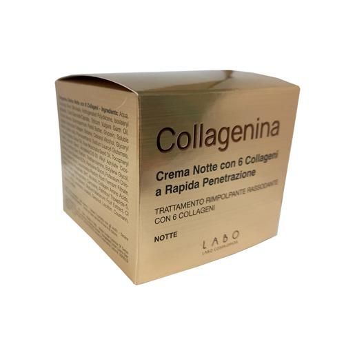 LABO INTERNATIONAL Srl collagenina crema notte 50ml grado 1