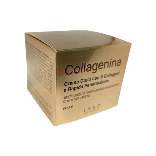 LABO INTERNATIONAL Srl collagenina crema collo 50ml grado 1