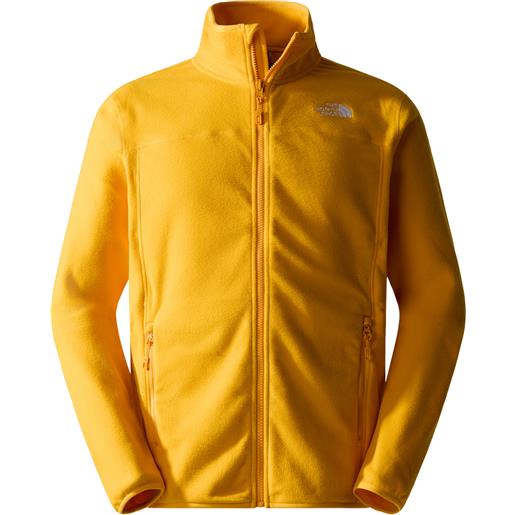 THE NORTH FACE pile full zip 100 glacier