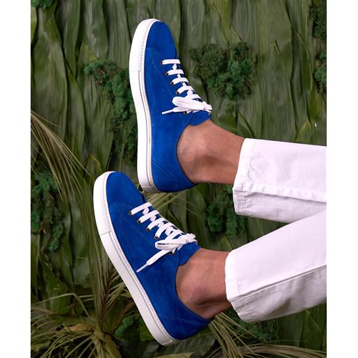 D'Arienzo sneakers in pelle scamosciata blu elettrico da uomo D'Arienzo