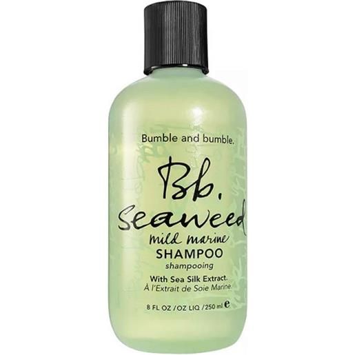 Bumble and bumble seaweed shampoo 250ml novita' 2023
