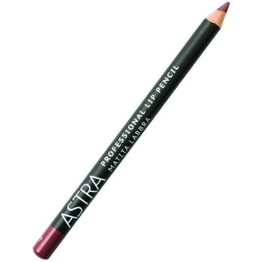 Astra matita labbra professional lip pencil 41 wood