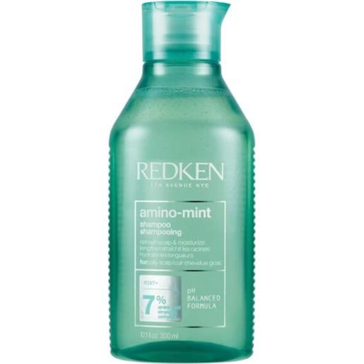 Redken shampoo amino mint 300ml