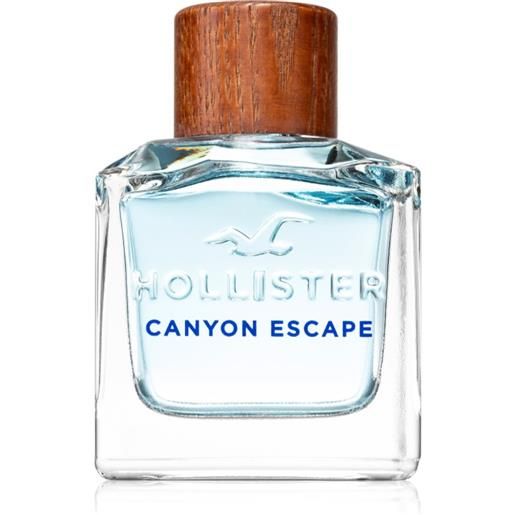 Hollister canyon escape for him 100 ml