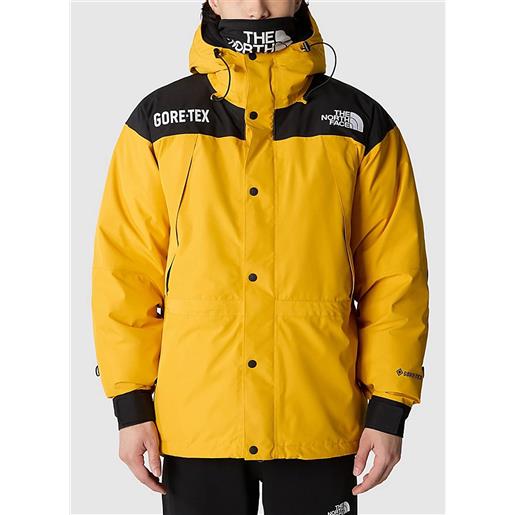 THE NORTH FACE giacca gtx insulated uomo