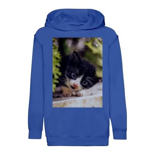 Fabulous felpa con cappuccio per bambini, motivo: gattino in bianco e nero con occhi azzurri, in osservazione su una parete carina animali - premium, blu, 10 anni