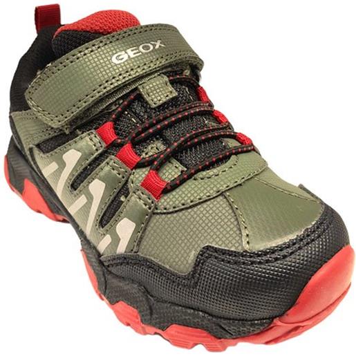 Sneakers military red amphibiox - geox