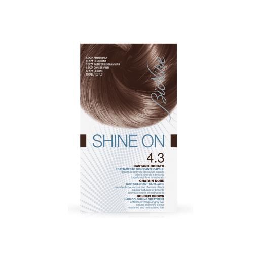 BIONIKE shine on 4.3 castano dorato trattamento colorante capelli