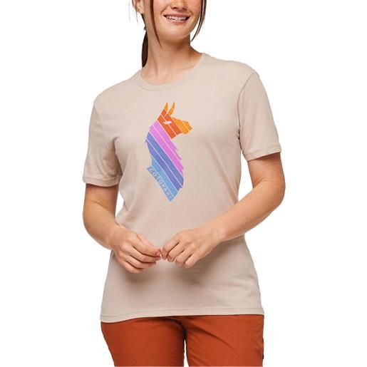 Cotopaxi - t-shirt - llama stripes organic t-shirt oatmeal per donne in cotone - taglia xs, s, m - grigio