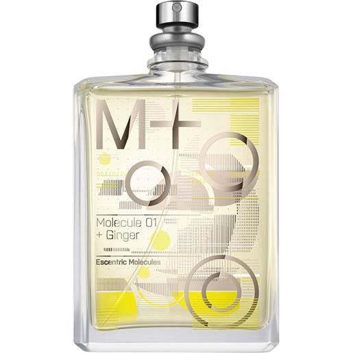 ESCENTRIC MOLECULES eau de parfum molecule 01+ ginger 100ml