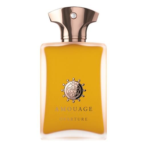 Amouage overture man - edp 100 ml