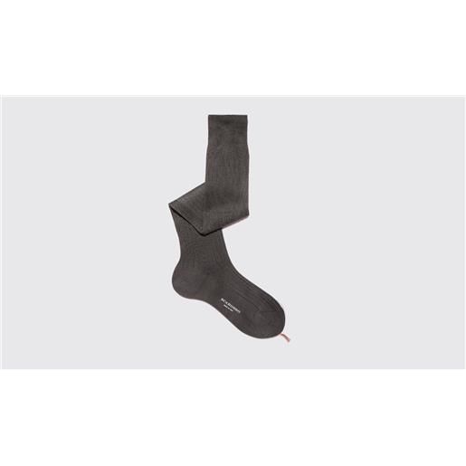 Scarosso grey cotton knee socks grigio - cotone