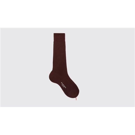 Scarosso burgundy cotton calf socks borgogna - cotone